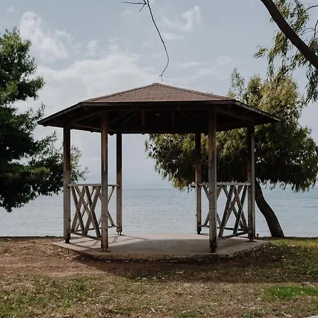 3bd In The Center Of Appartement *