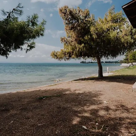 Appartement 3bd In The Center Of Erétria